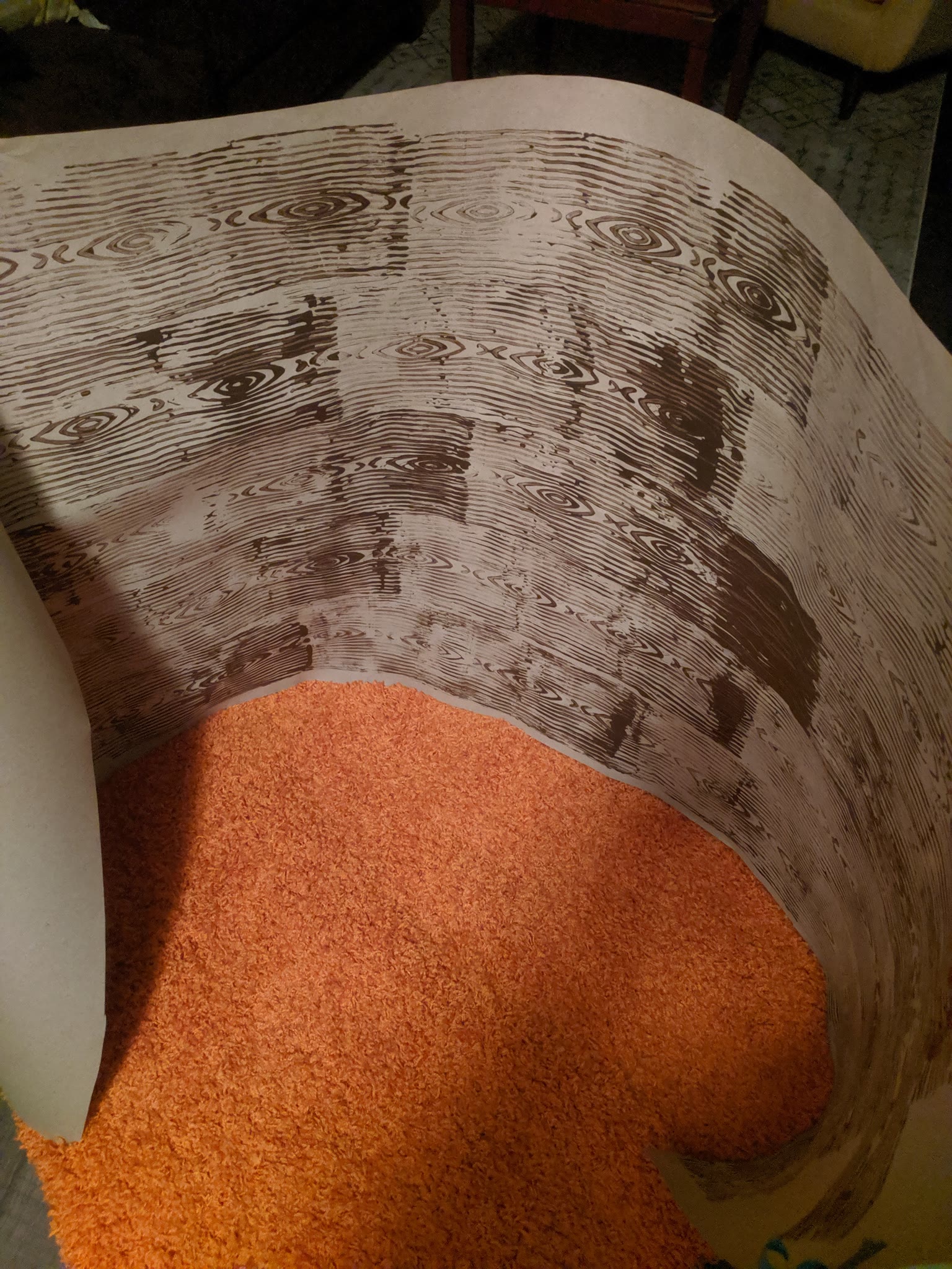 Some brown paper painted like wood paneling sitting on top of an orange shag rug.